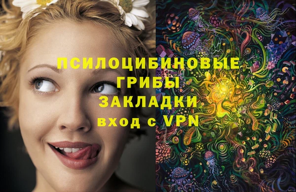 spice Алексеевка