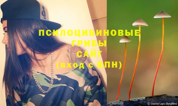 spice Алексеевка