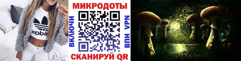 Псилоцибиновые грибы Cubensis  Гаврилов Посад 
